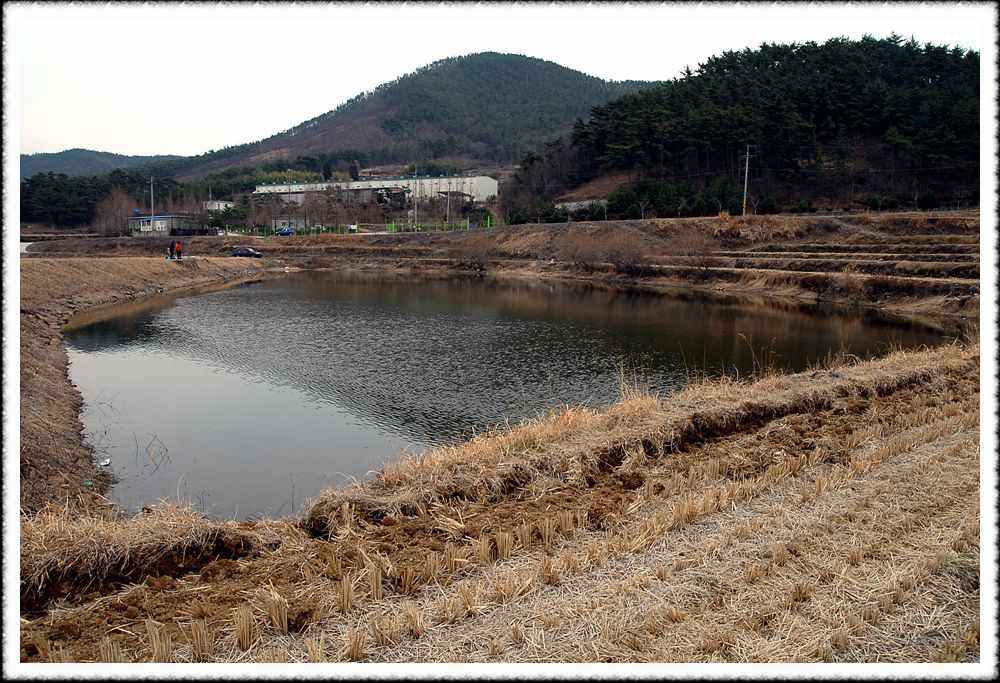 20090200_07.jpg