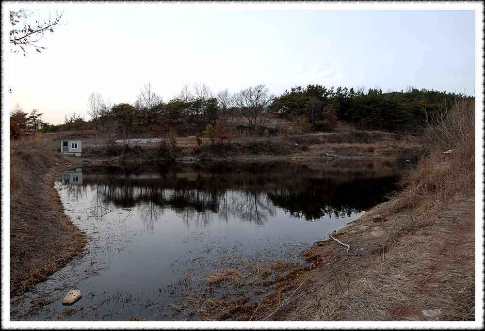 20090200_11.jpg