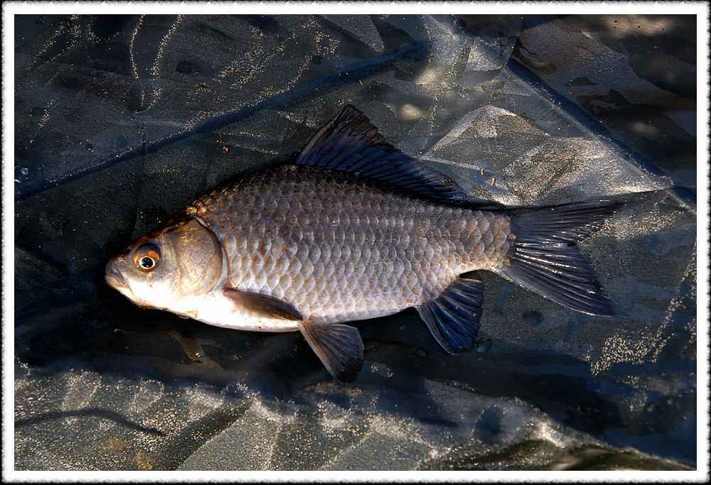 20090200_12.jpg