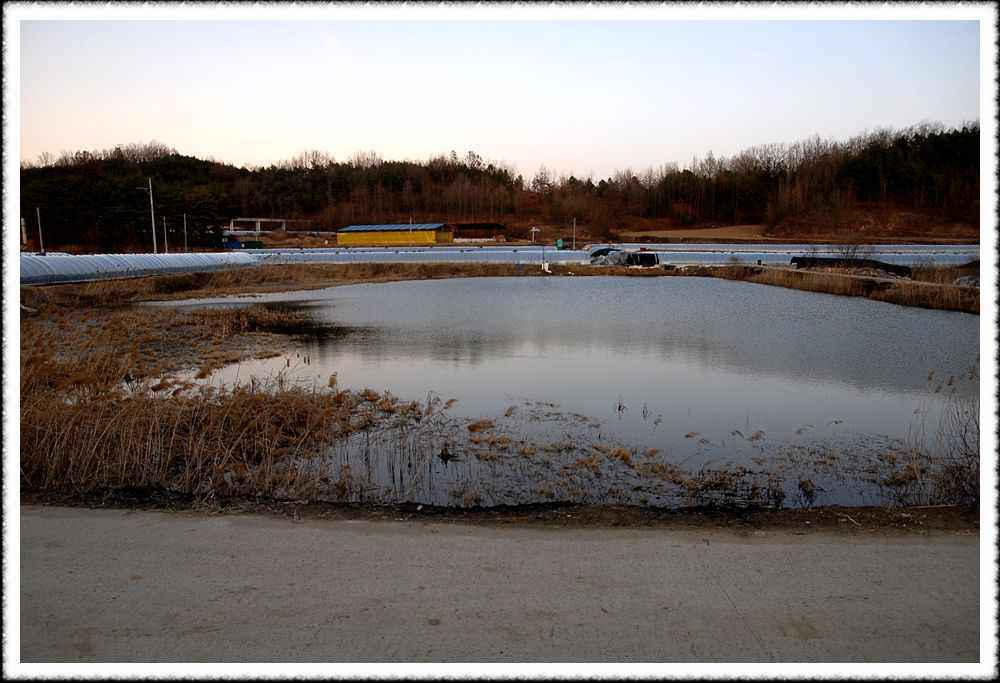 20090306_01.jpg