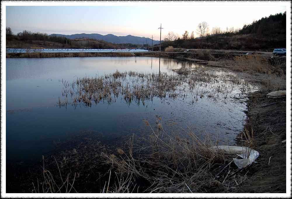 20090306_07.jpg