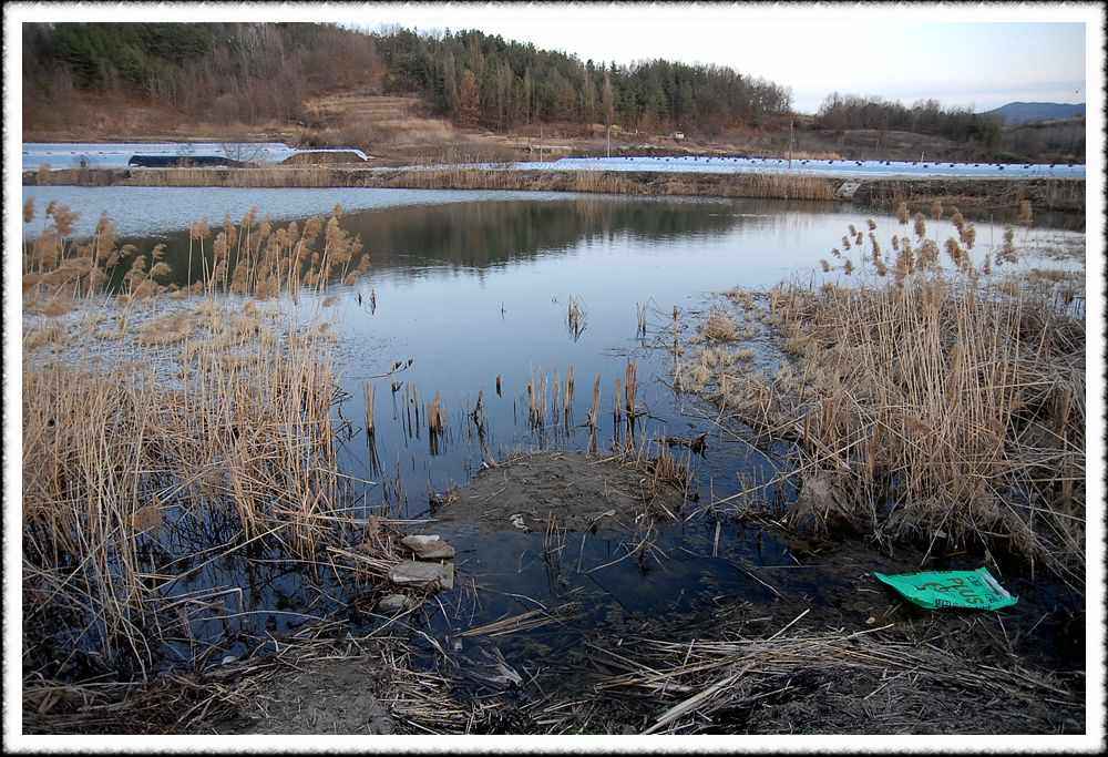 20090306_08.jpg