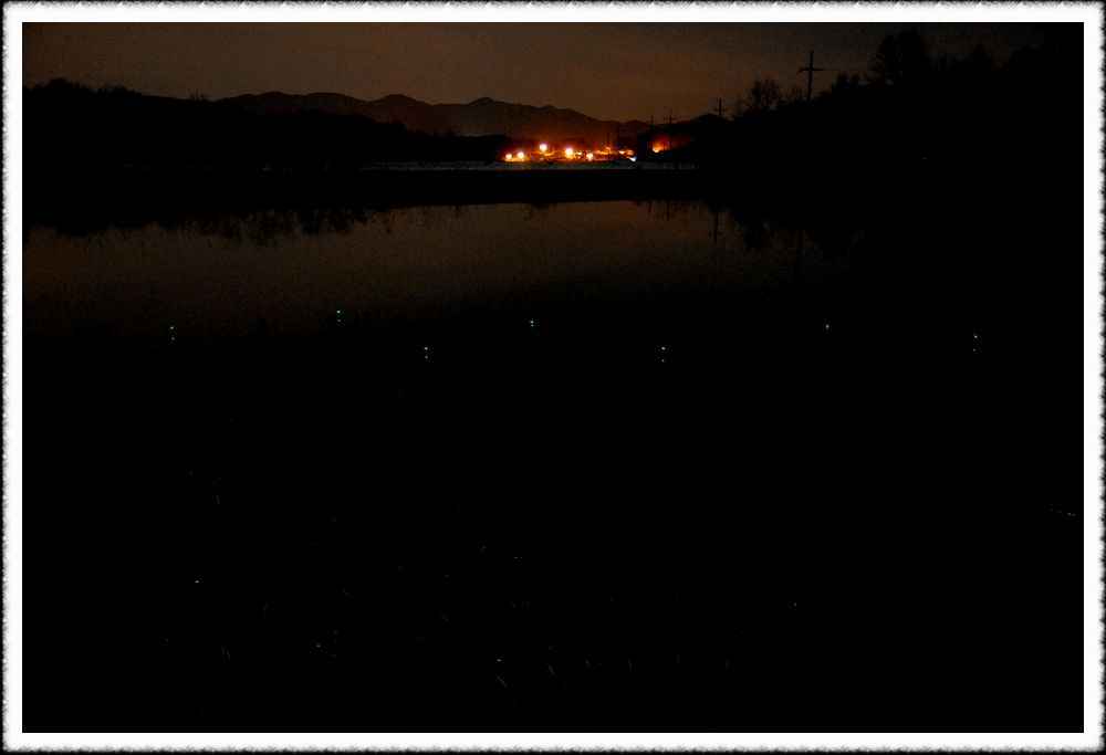 20090306_09.jpg