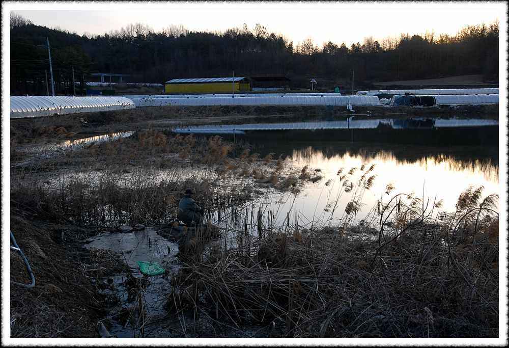 20090306_11.jpg