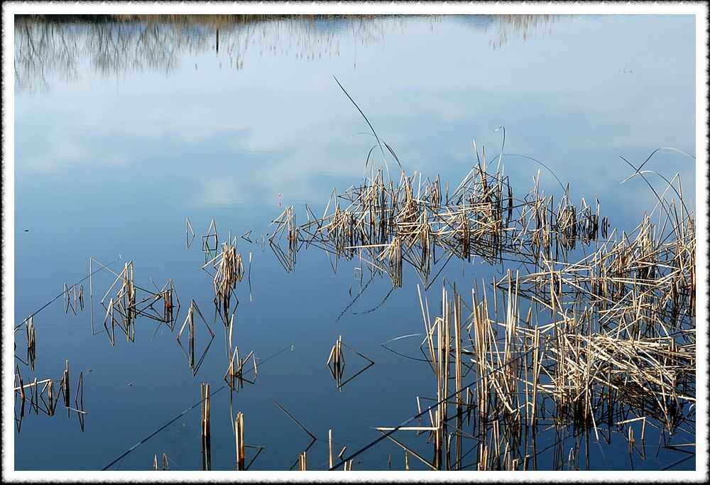 20090306_15.jpg