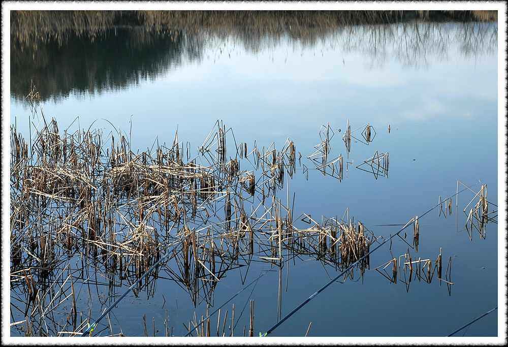 20090306_16.jpg
