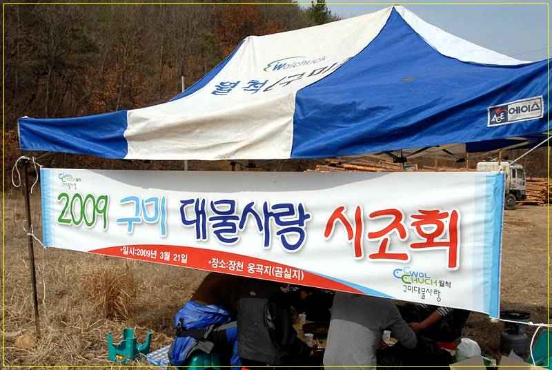 20090320_11.jpg
