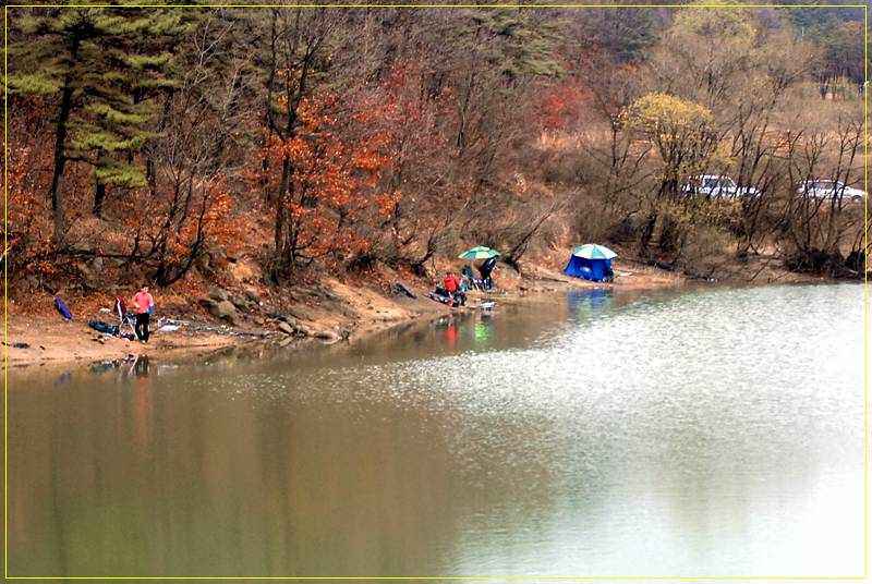 20090320_60.jpg