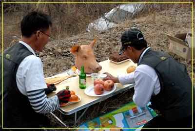 20090321_05.jpg