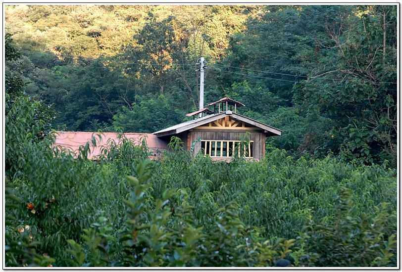 20090815_39.jpg