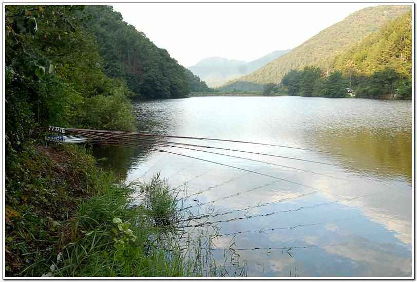 20090815_72.jpg