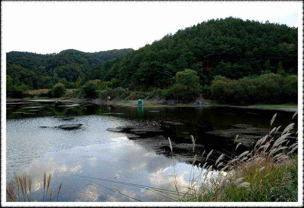 20091017_07.jpg