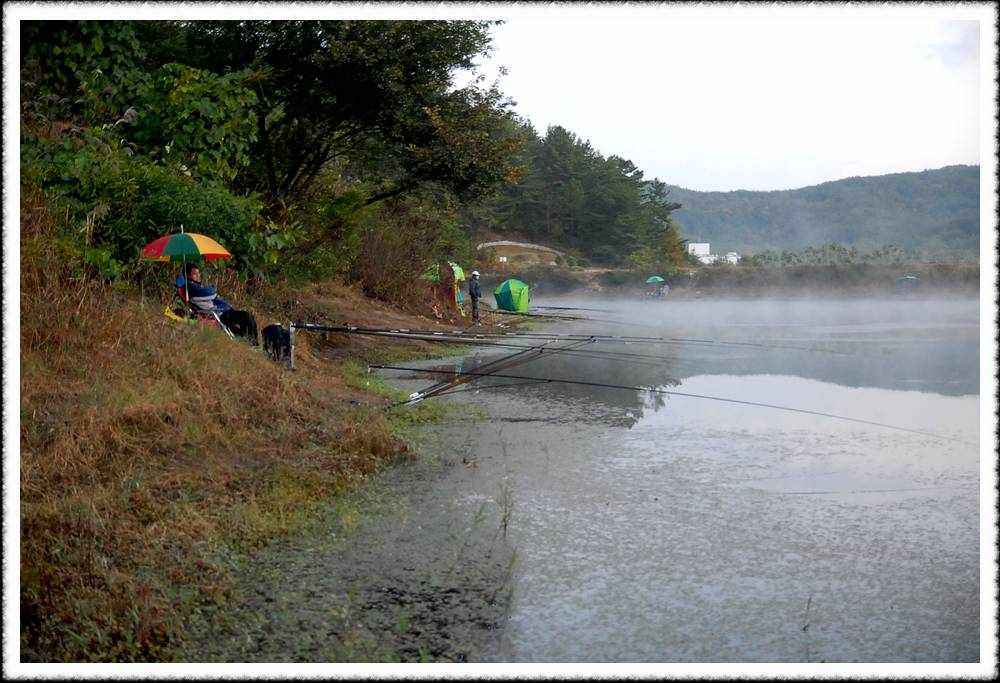 20091017_50.jpg