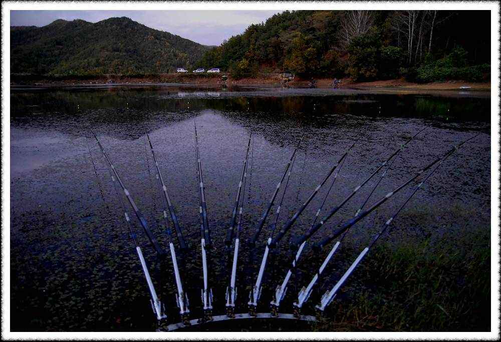 20091017_70.jpg