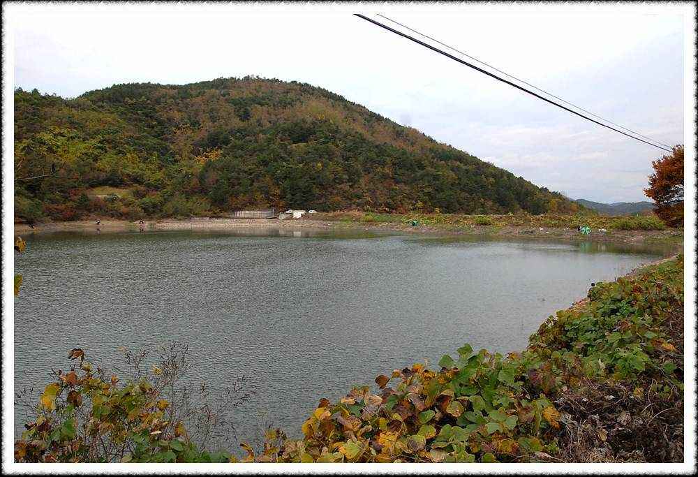 20091101a_08.jpg