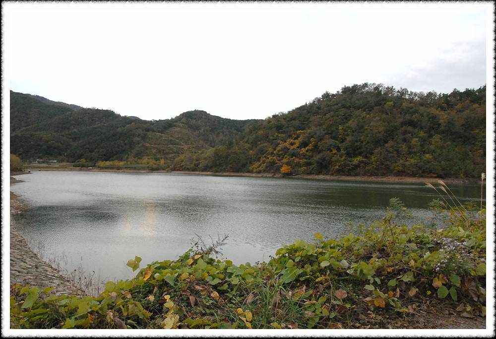 20091101a_09.jpg