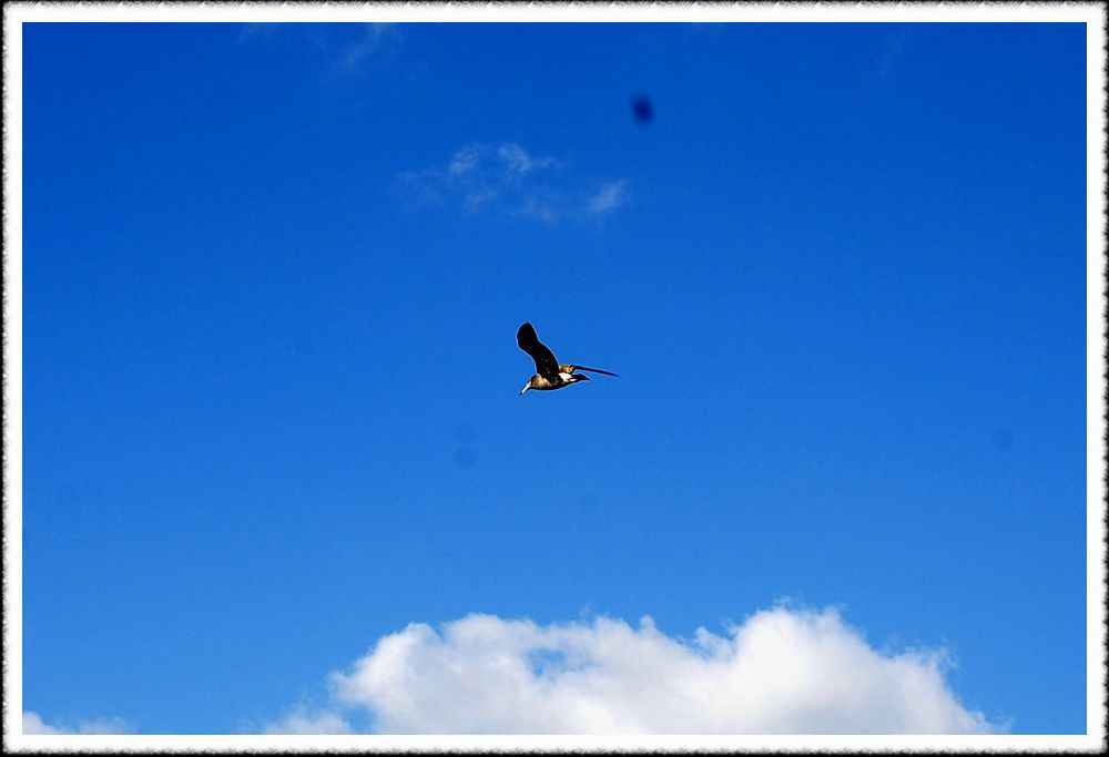 20091220_28.jpg