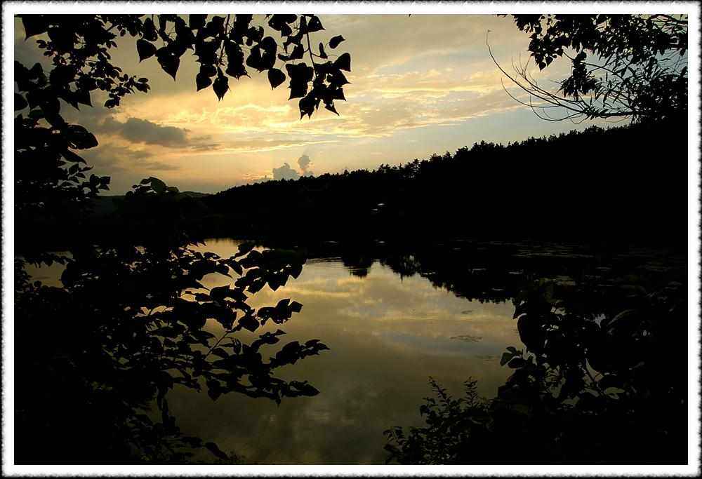 2009sum_053.jpg
