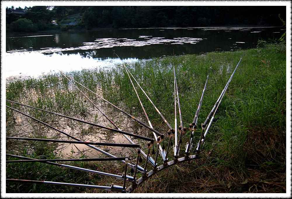 2009sum_055.jpg