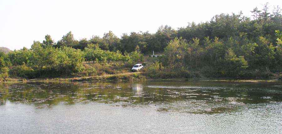 03.jpg
