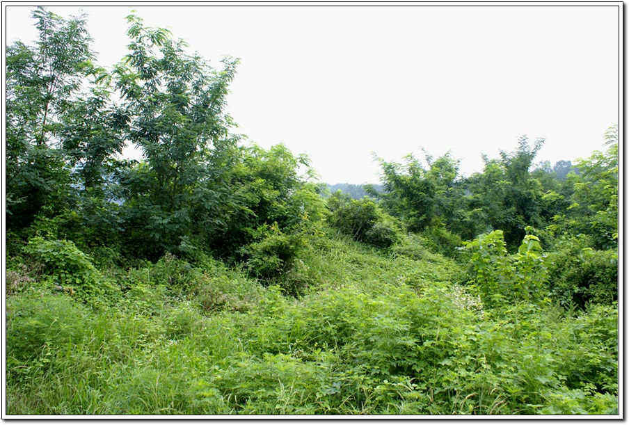 c01.jpg