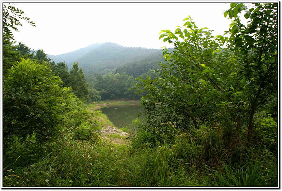 c05.jpg