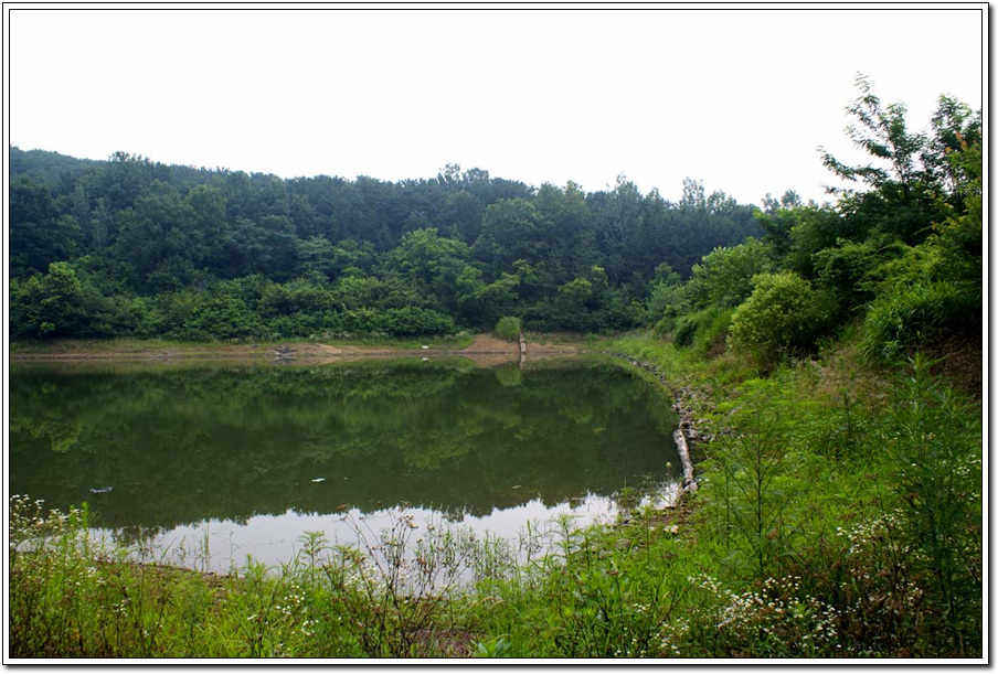 c07.jpg