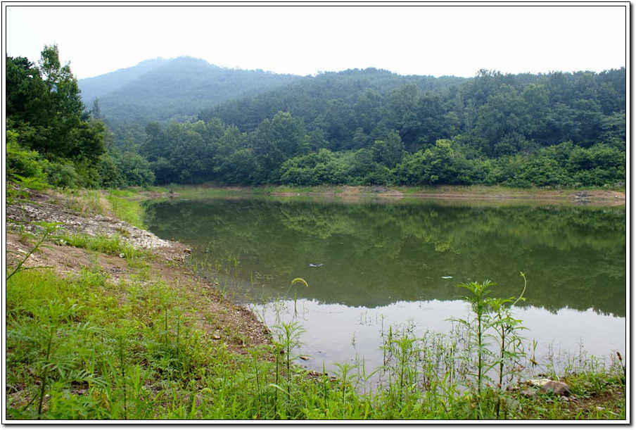 c08.jpg