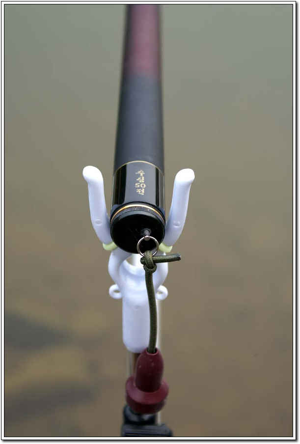 c41.jpg