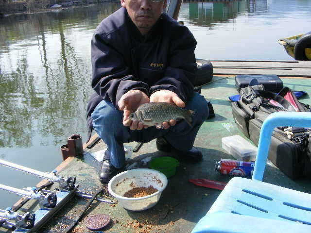 jjs 073_fish_pay02544591.jpg